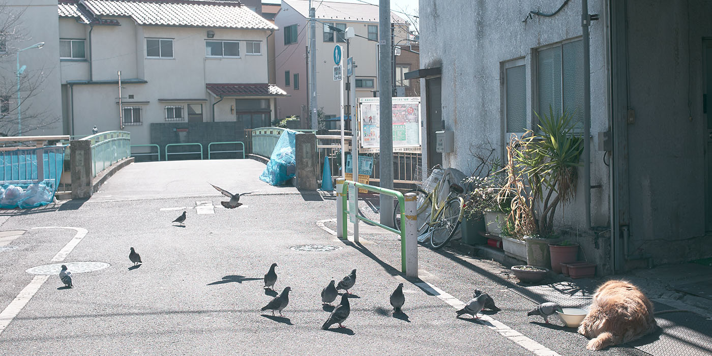 #stayshoot／高橋秀行（Hideyuki Takahashi）