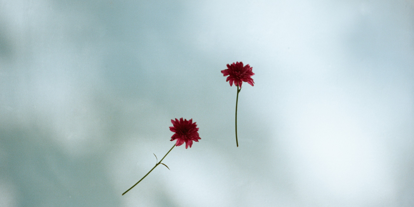 野口恵太写真展「FLOWER」