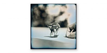 新井卓 作品展「日日の鏡」