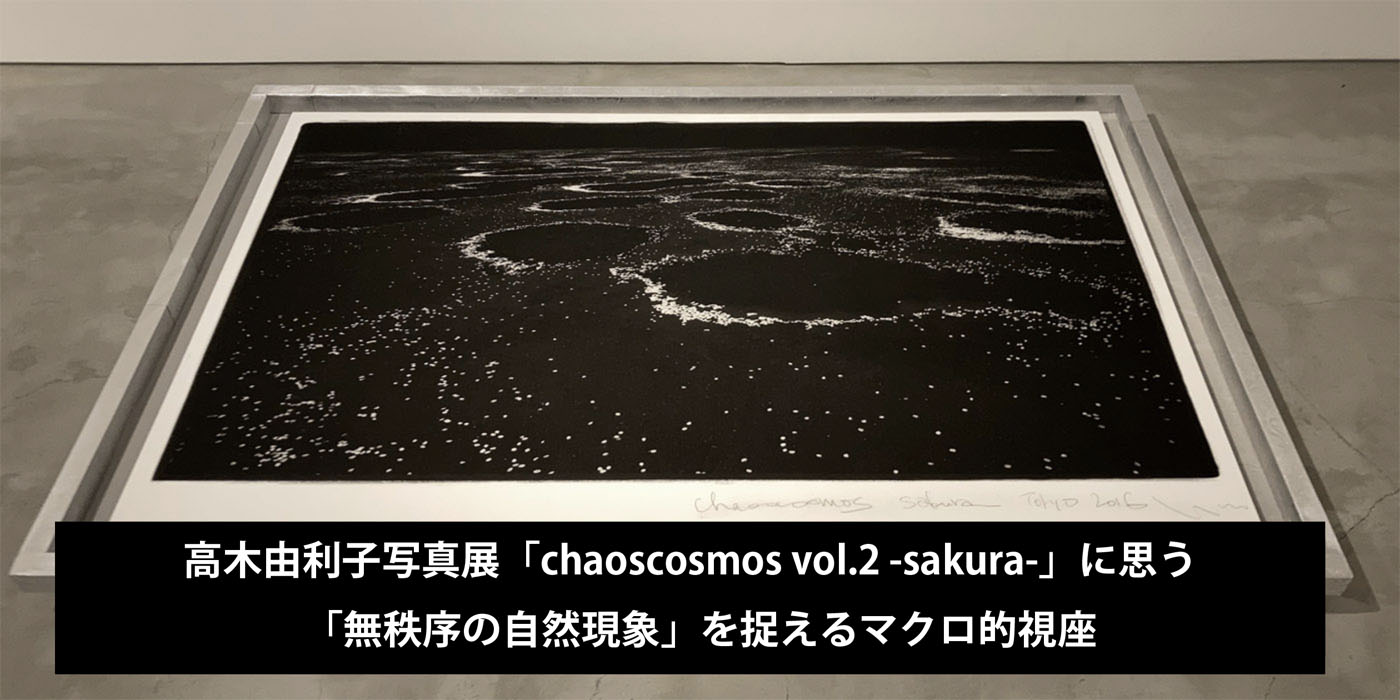 高木由利子写真展「chaoscosmos vol.2 -sakura-」に思う。「無秩序の自然現象」を捉えるマクロ的視座