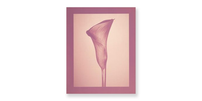 大和田良 写真展「FLORA/ECHO」