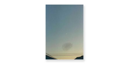 丸尾和穂「Dawn Chorus」