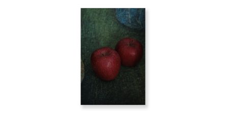 上田義彦写真展「果実」・「チベットの蜂蜜」
