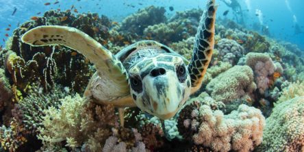 古見きゅう写真展「海の聲をきく」