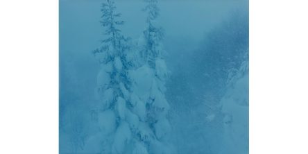 広川智基 写真展「雪に浮かぶ」