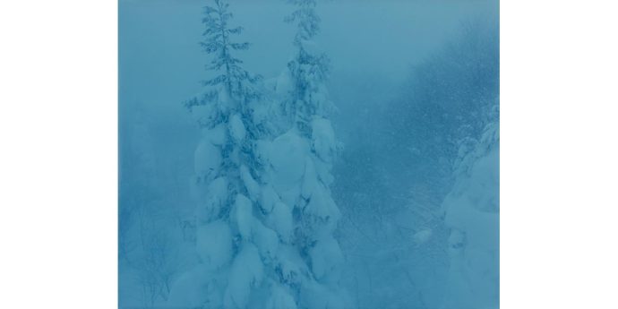 広川智基 写真展「雪に浮かぶ」
