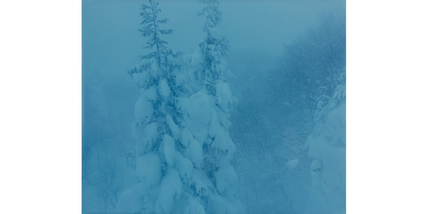 広川智基 写真展「雪に浮かぶ」