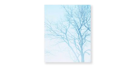 永田拓也 個展「ささやかなものたち」