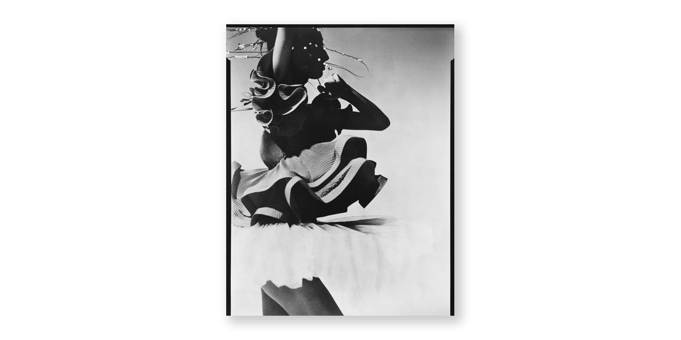 戸板直哉写真展「In Bloom」