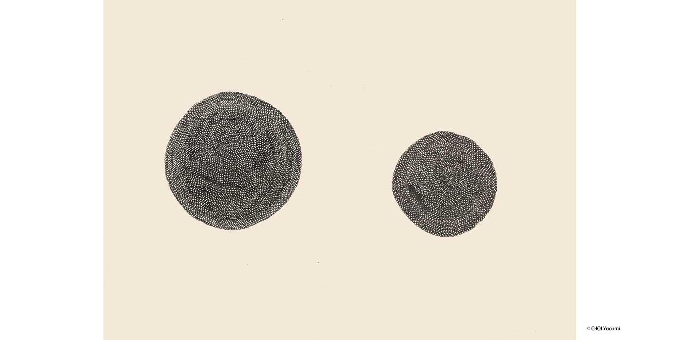 崔允美・藤林悠 二人展「mutual」