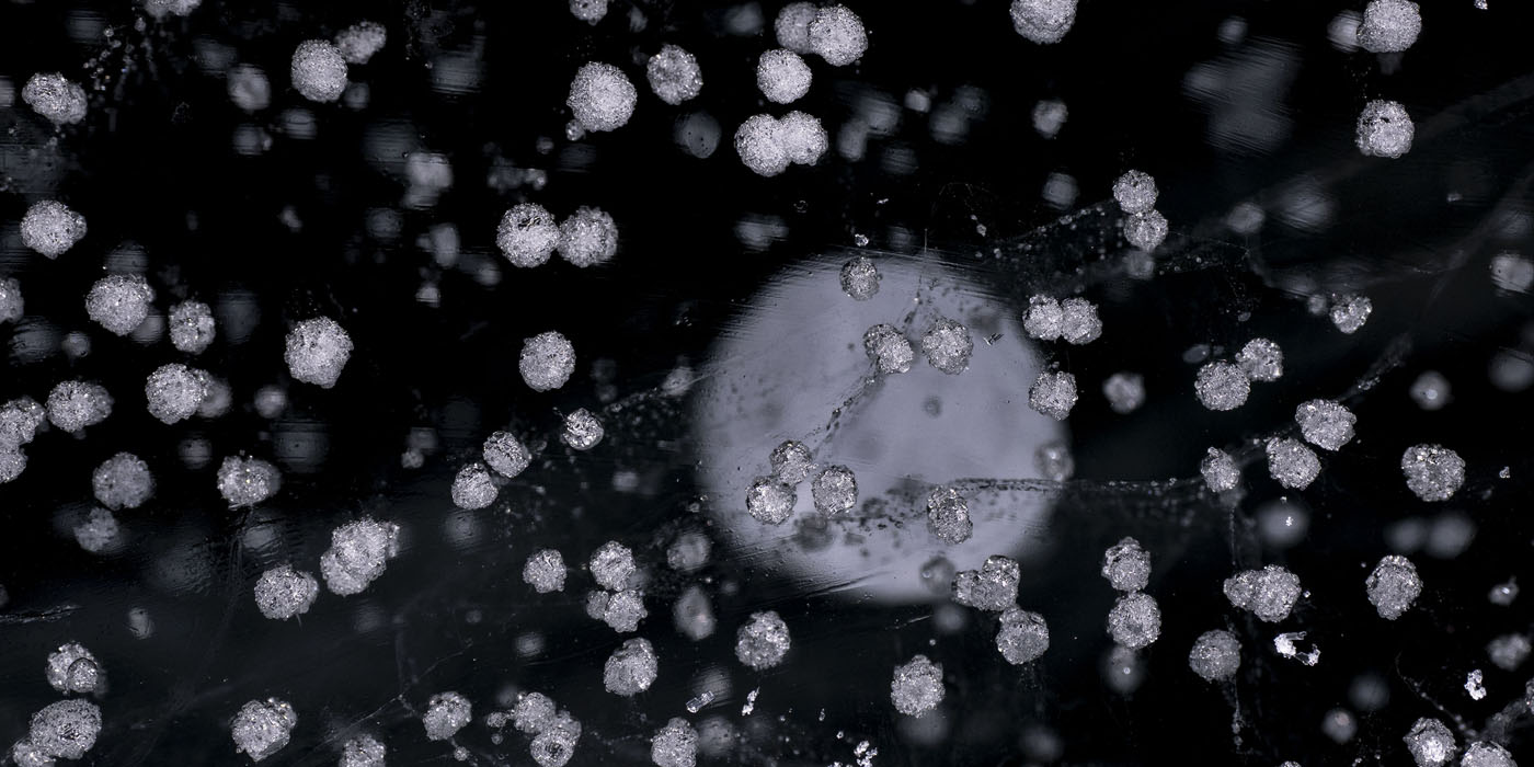 北尾辰也写真展「COSMIC STRUCTURES」