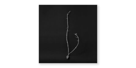 比嘉良治写真展「Tuber」