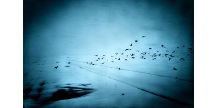 小川康博写真展「Dream / Silence ― 夢と沈黙のあいだ」