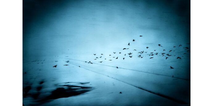 小川康博写真展「Dream / Silence ― 夢と沈黙のあいだ」