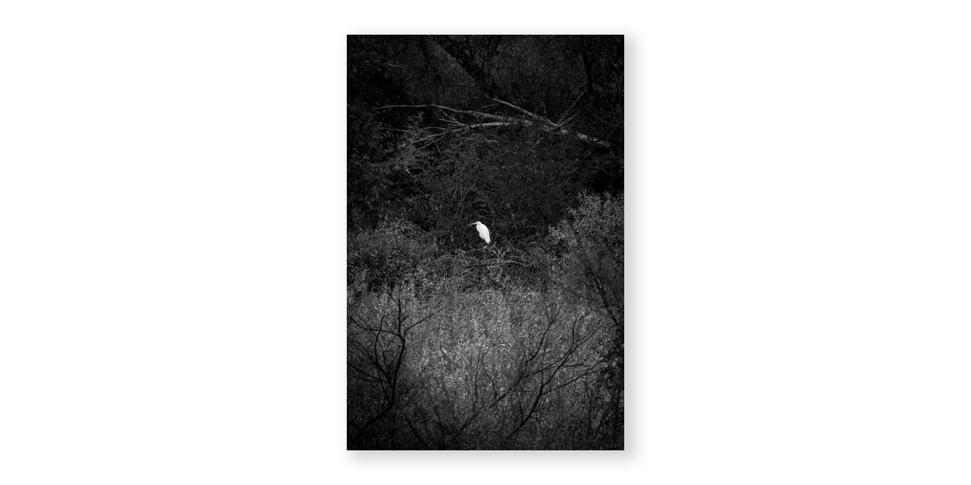 Hans Bol「ON MY DOORSTEP」展