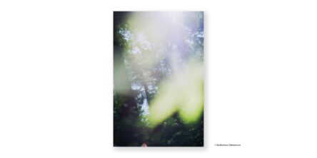 嶌村吉祥丸 写真展「what matters」