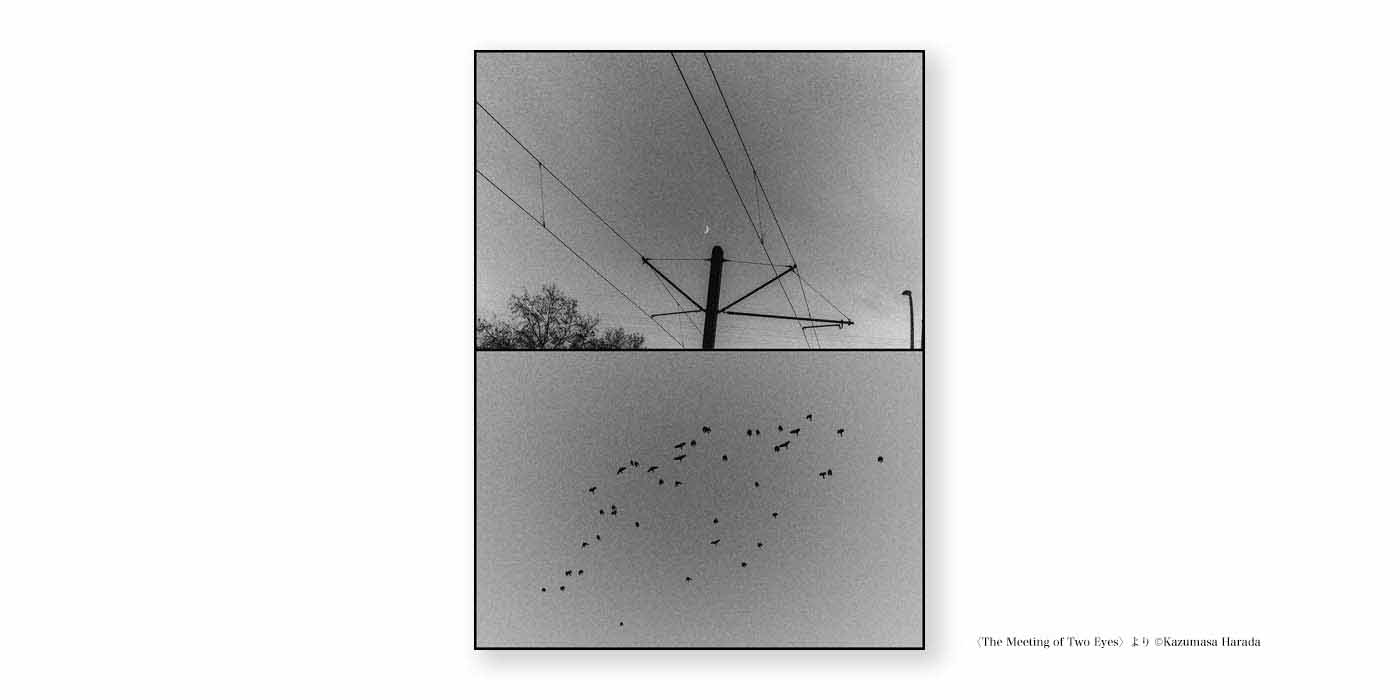 原田教正 写真展「The Meeting of Two Eyes」