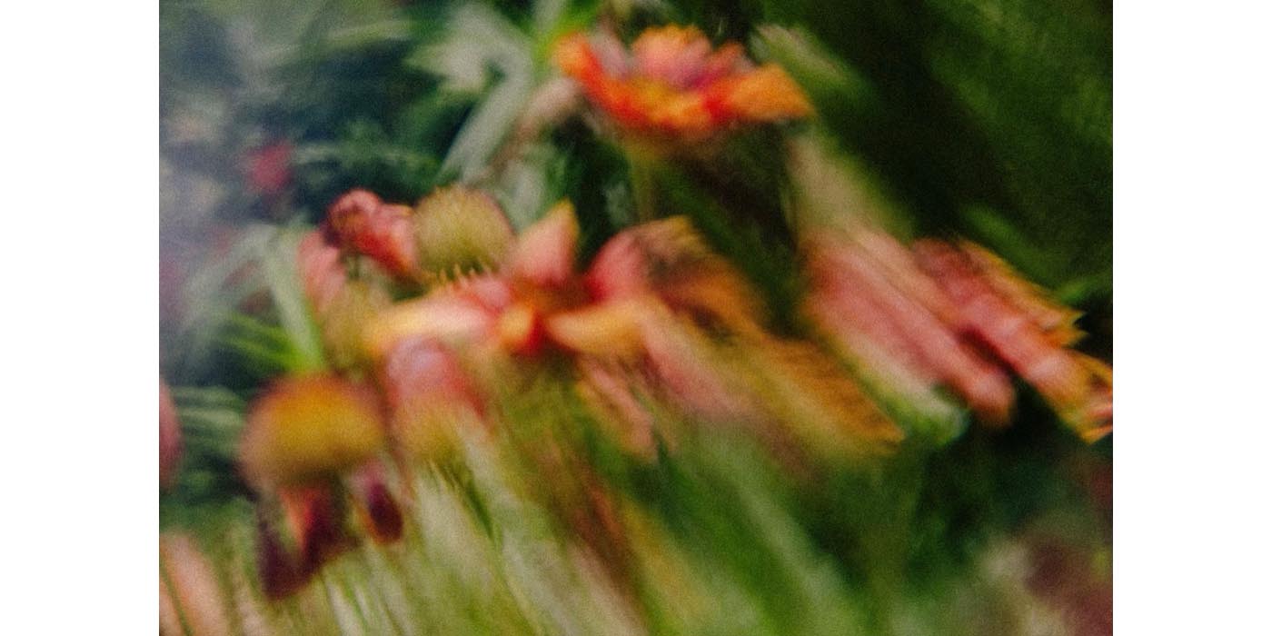 『いつでもいま ‒ ガラスに映す光』柿本ケンサク写真展