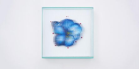 及川春菜個展「ヴァニタスの解剖」