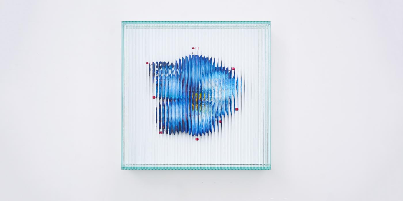 及川春菜個展「ヴァニタスの解剖」
